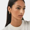 Forcast Goulbury Hoop Earrings* Earrings