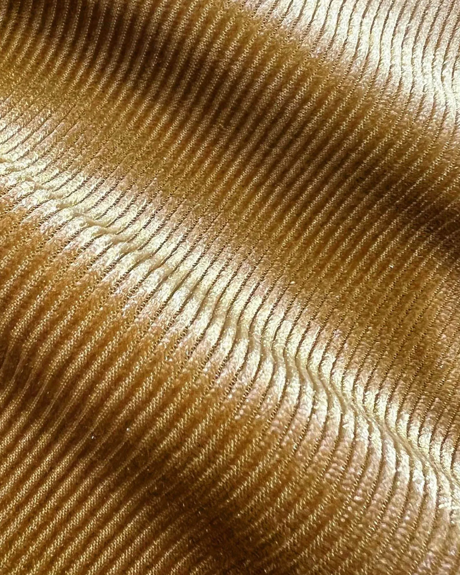 Forcast Rowan Mini Corduroy Skirt* Mini Skirts|Work Skirts