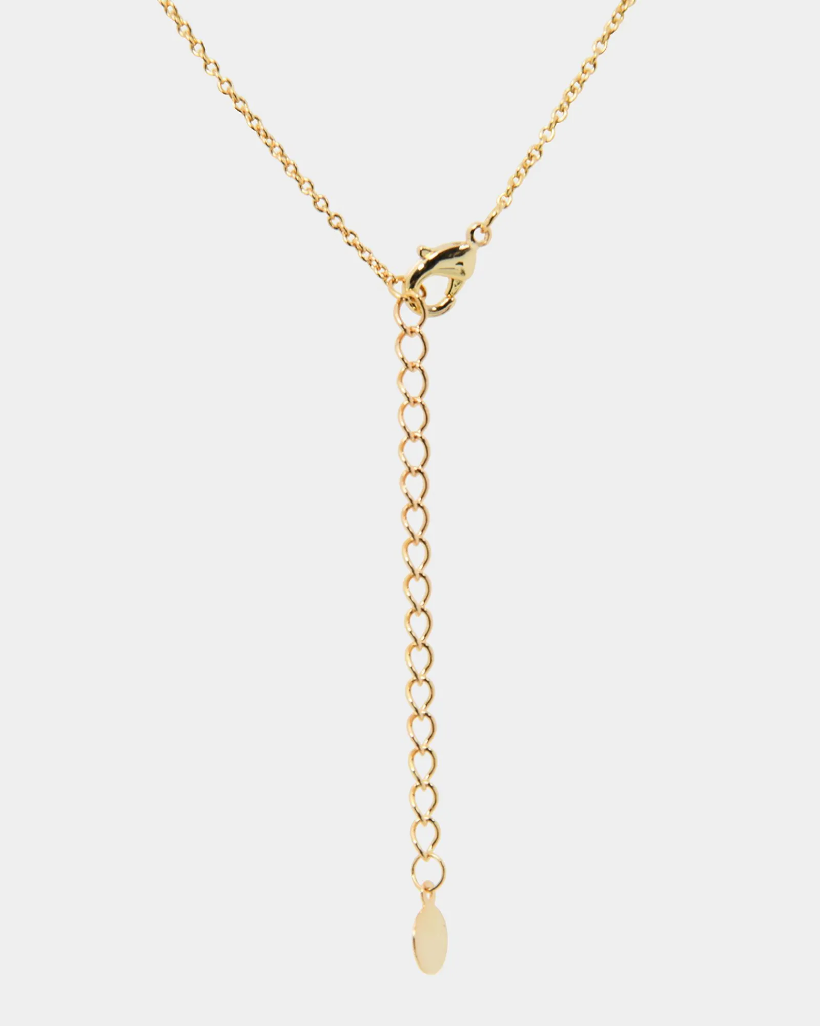 Forcast Willow Plated Necklace* Necklaces