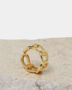 Forcast Wonder Chain Ring* Rings
